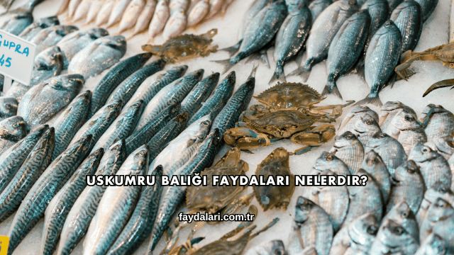 Uskumru Balığı Faydaları Nelerdir?
