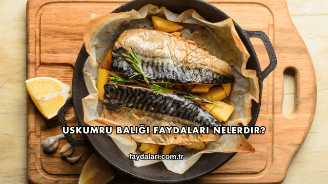 Uskumru Balığı Faydaları Nelerdir?