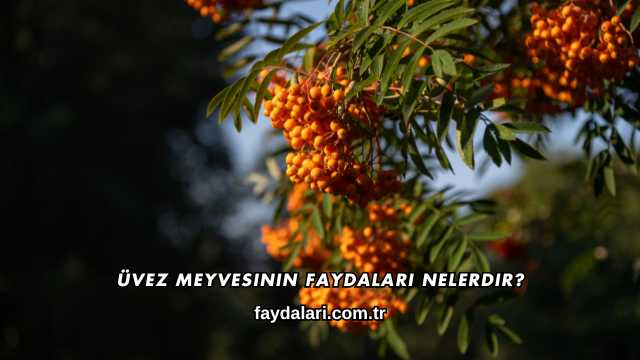Üvez Meyvesinin Faydaları Nelerdir?