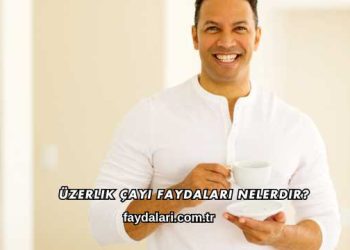 Üzerlik Çayı Faydaları Nelerdir?