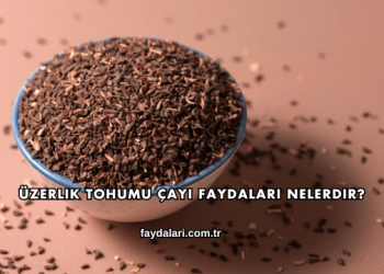 Üzerlik Tohumu Çayı Faydaları Nelerdir?