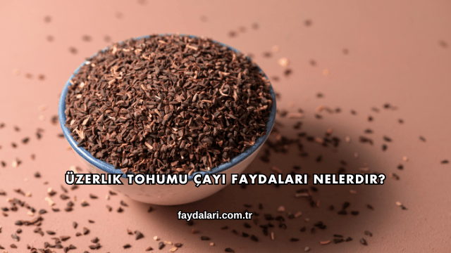 Üzerlik Tohumu Çayı Faydaları Nelerdir?