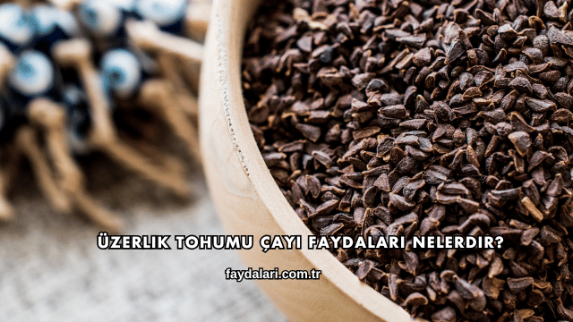 Üzerlik Tohumu Çayı Faydaları Nelerdir?