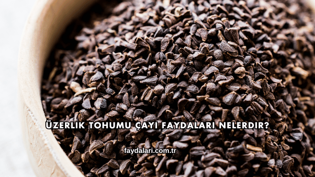 Üzerlik Tohumu Çayı Faydaları Nelerdir?