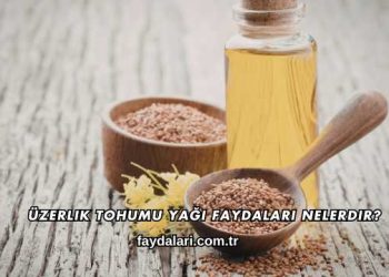 Üzerlik Tohumu Yağı Faydaları Nelerdir?
