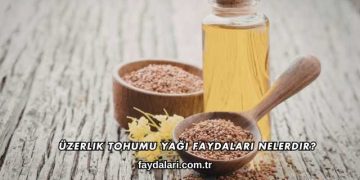 Üzerlik Tohumu Yağı Faydaları Nelerdir?