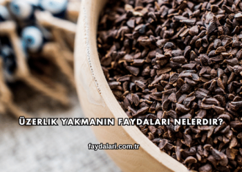 Üzerlik Yakmanın Faydaları Nelerdir?