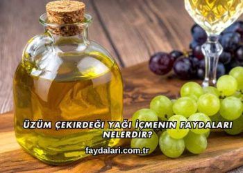 Üzüm Çekirdeği Yağı İçmenin Faydaları Nelerdir?
