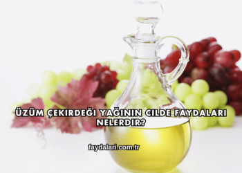 Üzüm Çekirdeği Yağının Cilde Faydaları Nelerdir?