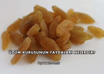 Üzüm Kurusunun Faydaları Nelerdir?