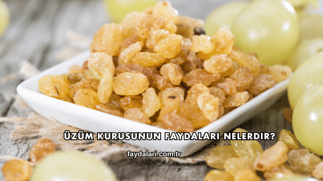 Üzüm Kurusunun Faydaları Nelerdir?