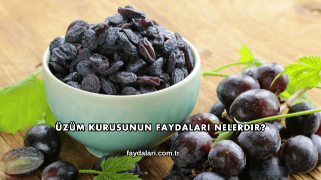 Üzüm Kurusunun Faydaları Nelerdir?