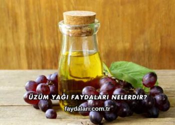 Üzüm Yağı Faydaları Nelerdir?