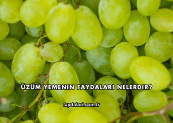 Üzüm Yemenin Faydaları Nelerdir?