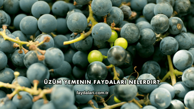 Üzüm Yemenin Faydaları Nelerdir?