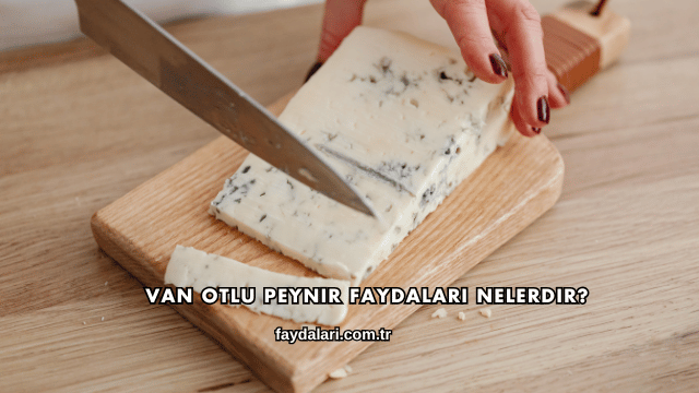 Van Otlu Peynir Faydaları Nelerdir?