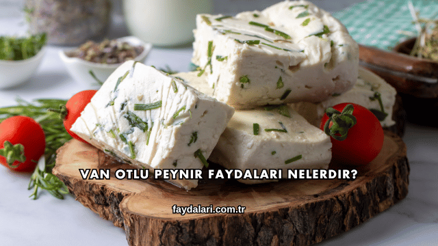 Van Otlu Peynir Faydaları Nelerdir?
