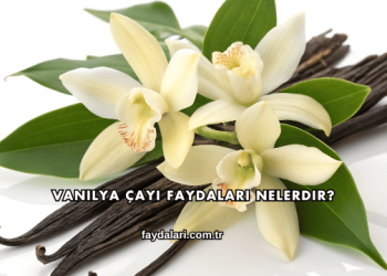 Vanilya Çayı Faydaları Nelerdir?