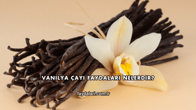 Vanilya Çayı Faydaları Nelerdir?