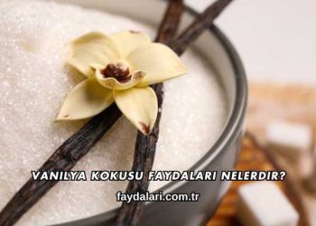 Vanilya Kokusu Faydaları Nelerdir?