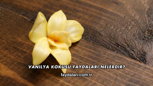 Vanilya Kokusu Faydaları Nelerdir?