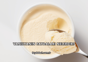 Vanilyanın Faydaları Nelerdir?