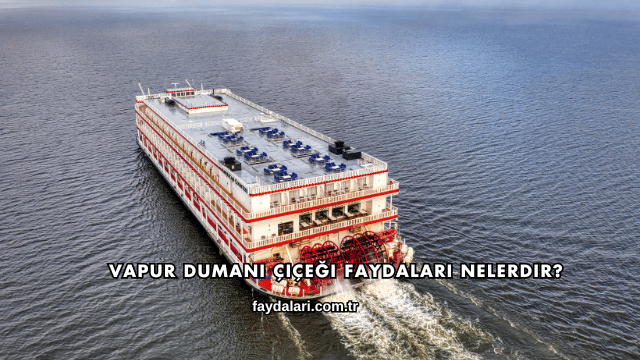 Vapur Dumanı Çiçeği Faydaları Nelerdir?