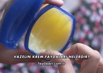 Vazelin Krem Faydaları Nelerdir?