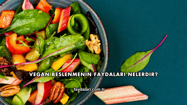 Vegan Beslenmenin Faydaları Nelerdir?