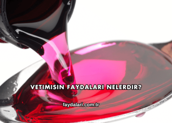 Vetimisin Faydaları Nelerdir?