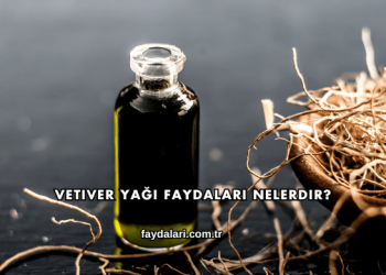 Vetiver Yağı Faydaları Nelerdir?