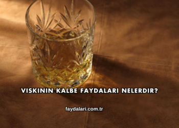 Viskinin Kalbe Faydaları Nelerdir?