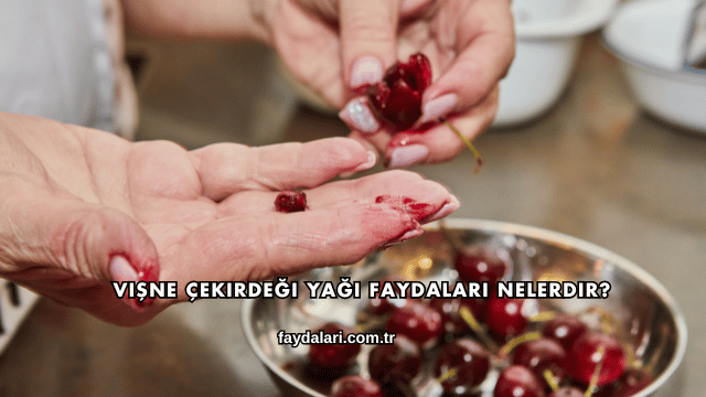 Vişne Çekirdeği Yağı Faydaları Nelerdir?