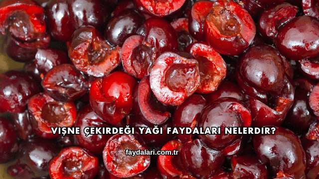 Vişne Çekirdeği Yağı Faydaları Nelerdir?