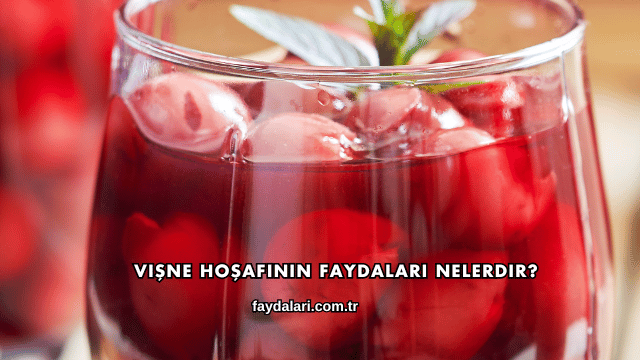 Vişne Hoşafının Faydaları Nelerdir?