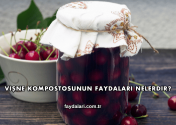 Vişne Kompostosunun Faydaları Nelerdir?