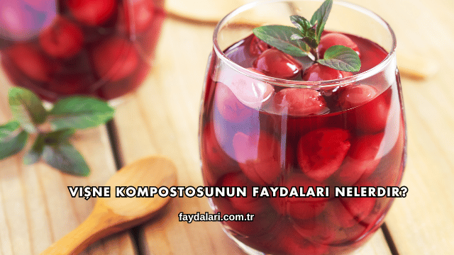 Vişne Kompostosunun Faydaları Nelerdir?