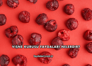 Vişne Kurusu Faydaları Nelerdir?