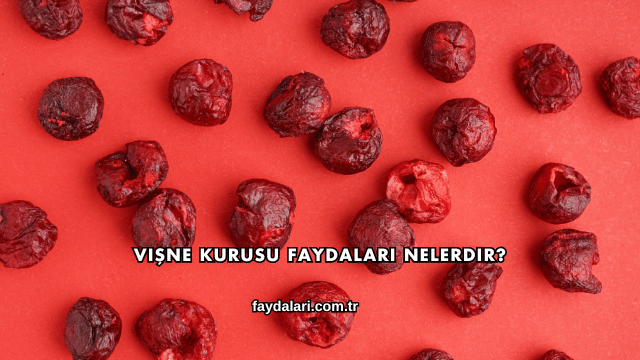 Vişne Kurusu Faydaları Nelerdir?