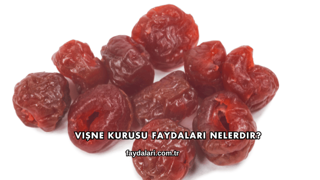 Vişne Kurusu Faydaları Nelerdir?