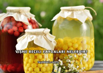 Vişne Reçeli Faydaları Nelerdir?