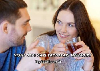 Vişne Sapı Çayı Faydaları Nelerdir?