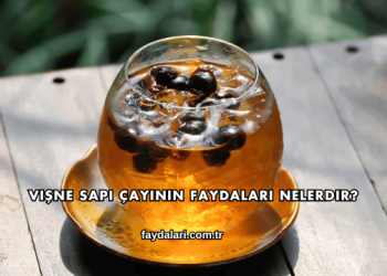 Vişne Sapı Çayının Faydaları Nelerdir?