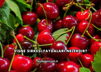 Vişne Sirkesi Faydaları Nelerdir?