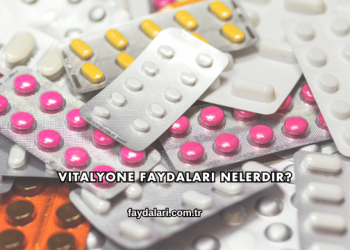 Vitalyone Faydaları Nelerdir?