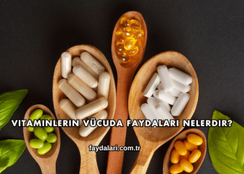 Vitaminlerin Vücuda Faydaları Nelerdir?