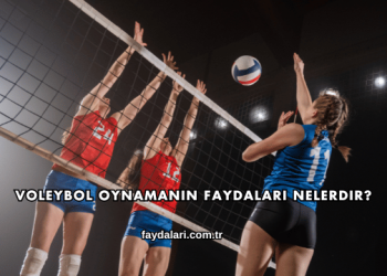 Voleybol Oynamanın Faydaları Nelerdir?