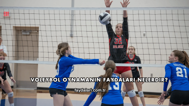 Voleybol Oynamanın Faydaları Nelerdir?