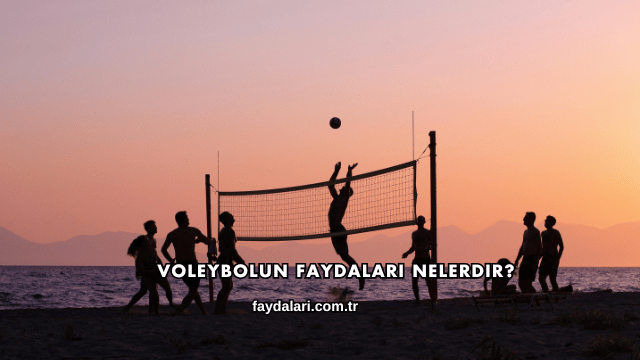 Voleybolun Faydaları Nelerdir?