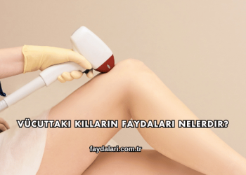 Vücuttaki Kılların Faydaları Nelerdir?